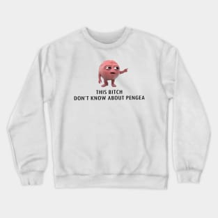 This Bi*** don't know about pengea Crewneck Sweatshirt